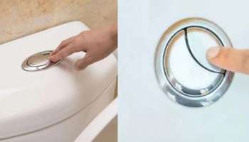 Toilet Flush: ಟಾಯ್ಲೆಟ್ ಫ್ಲಶ್‌ನಲ್ಲಿ ದೊಡ್ಡ ಬಟನ್‌ ಜೊತೆ ಚಿಕ್ಕದೊಂದು ಏಕೆ ಇರುತ್ತದೆ? 