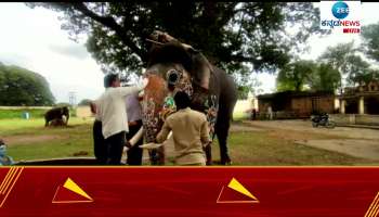 Ayudha pooja at Mysore Palace