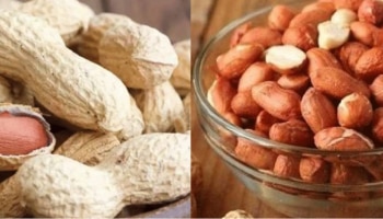 Soaked Peanuts Benefits : &#039;ನೆನೆಸಿದ ಕಡಲೆಬೀಜ&#039; ಆರೋಗ್ಯಕೆ ಎಷ್ಟು ಪ್ರಯೋಜನ ಗೊತ್ತಾ?