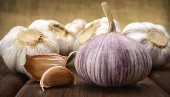  Raw Garlic Benefits : ಖಾಲಿ ಹೊಟ್ಟೆಯಲ್ಲಿ ಸೇವಿಸಿ ಹಸಿ ಬೆಳ್ಳುಳ್ಳಿ : ಈ ರೋಗಗಳಿಗೆ ಹೇಳಿ ಗುಡ್ ಬೈ!