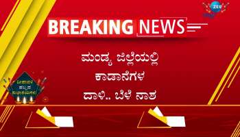  elephant attack in mandya 