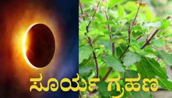 ಸೂರ್ಯ ಗ್ರಹಣದಲ್ಲಿ ಆಹಾರದಲ್ಲಿ ಹಾಕಲು ತುಳಸಿ ಕೀಳುವುದು &#039;ಮಹಾ ಪಾಪ&#039; 