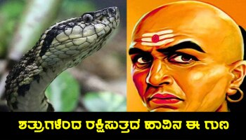 Chanakya Niti: ಹಾವಿನ ಈ ಒಂದು ಗುಣ ಅರಿತುಕೊಂಡರೆ ಸಾಕು, ನಿಮ್ಮನ್ನು ಕಂಡು ಎದುರಾಳಿಗಳು ಗಡಗಡ ನಡುಗುತ್ತಾರೆ