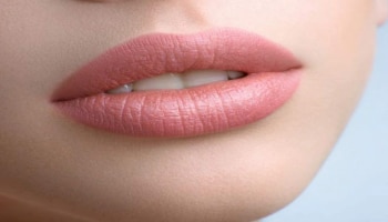 Lips Care Tips : ಚಳಿಗಾಲದಲ್ಲಿ ತುಟಿಗಳ ರಕ್ಷಣೆಗೆ ಈ ಮನೆಮದ್ದುಗಳನ್ನು ಅನುಸರಿಸಿ!