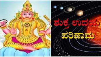 Shukra Uday 2022: ಶುಕ್ರ ಉದಯ ಪರಿಣಾಮ,  3 ರಾಶಿಯವರಿಗೆ ಭಾಗ್ಯೋದಯ 