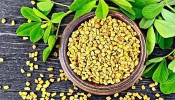 Fenugreek Side Effects: ಈ 4 ಕಾಯಿಲೆ ಇರುವವರಿಗೆ ಮೆಂತೆ ಸೇವನೆ ಆರೋಗ್ಯಕ್ಕೆ ಹಾನಿಕಾರಕ