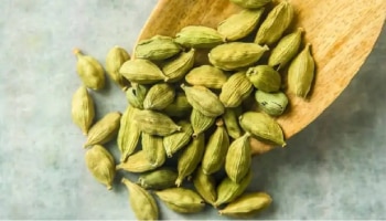 Green Cardamom : ಜೀವನದ ಎಲ್ಲಾ ಅಡೆತಡೆಗಳನ್ನು ನಿವಾರಿಸುತ್ತದೆ ಏಲಕ್ಕಿ : ಹೇಗೆ? ಇಲ್ಲಿದೆ