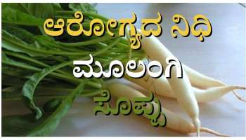 Radish Leaves Benefits: ಆರೋಗ್ಯದ ನಿಧಿ ಮೂಲಂಗಿ ಸೊಪ್ಪು 