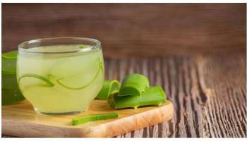 Aloe Vera Juice Benefits: ಚಳಿಗಾಲದಲ್ಲಿ ಖಾಲಿ ಹೊಟ್ಟೆಯಲ್ಲಿ ಅಲೋವೆರಾ ಜ್ಯೂಸ್ ಸೇವನೆಯಿಂದ ಸಿಗುತ್ತೆ ಸಖತ್ ಲಾಭ 