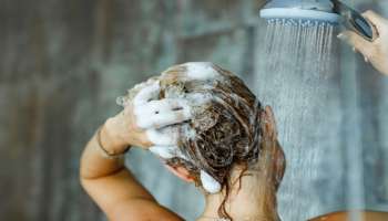 Hair Wash Tips: ಕೂದಲು ತೊಳೆಯುವಾಗ ಈ ವಿಷಯಗಳನ್ನು ಪಾಲಿಸಿ: ಇಲ್ಲದಿದ್ದರೆ ಅಪಾಯ ಖಂಡಿತ