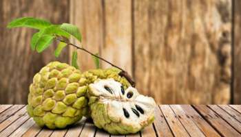 Custard Apple: ಚಳಿಗಾಲದ ಈ ರೋಗಗಳಿಗೆ ರಾಮಬಾಣ ಸೀತಾಫಲ 