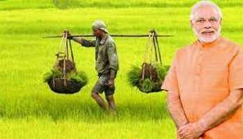 PM Kisan Scheme: ಹೊಸ ವರ್ಷಕ್ಕೂ ಮುನ್ನವೇ ರೈತರಿಗೆ ಗುಡ್ ನ್ಯೂಸ್: 13ನೇ ಕಂತಿನ ಬಗ್ಗೆ ಮಹತ್ವದ ಮಾಹಿತಿ