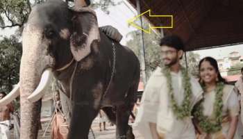 Elephant Attack: ಮದುವೆ ಫೋಟೋಶೂಟ್ ವೇಳೆ ಆನೆ ದಾಳಿ, ವಿಡಿಯೋ ವೈರಲ್‌ 