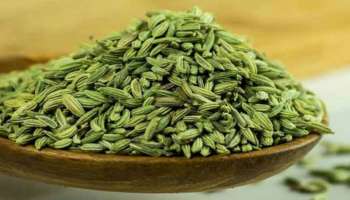 Fennel Seeds: ಸೋಂಪನ್ನು ಹೀಗೆ ಸೇವಿಸಿದ್ರೆ ಈ ಅಪಾಯಕಾರಿ ರೋಗ ಹತ್ತಿರವೂ ಸುಳಿಯಲ್ಲ