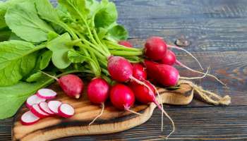 Radish Side Effect: ಮೂಲಂಗಿ ತಿಂದ ಬಳಿಕ ಈ ಆಹಾರಗಳನ್ನು ತಪ್ಪಿಯೂ ಸೇವಿಸಬೇಡಿ: ವಿಷವಾಗಿ ಪರಿಣಮಿಸುತ್ತೆ ಎಚ್ಚರ