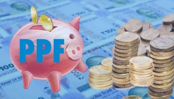 PPF Scheme : ಕೇಂದ್ರ ಬಜೆಟ್‌ಗೂ ಮುನ್ನ ಪಿಪಿಎಫ್ ಖಾತೆದಾರರಿಗೆ ಗುಡ್ ನ್ಯೂಸ್!