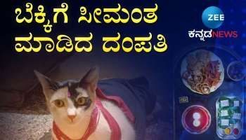 Watch Video: ಮಗಳಾದ ಮಾರ್ಜಲ... ಬೆಕ್ಕಿಗೆ ಸೀಮಂತ ಮಾಡಿದ ದಂಪತಿ