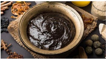 Chyawanprash: ಈ ಜನರು ಮರೆತೂ ಕೂಡ ಚವನ್ಪ್ರಾಶ್ ಸೇವಿಸಬಾರದು... ಕಾರಣ ಇಲ್ಲಿದೆ