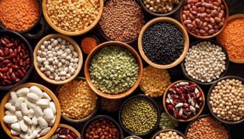 Pulses Side Effects: ಅಗತ್ಯಕ್ಕಿಂತ ಹೆಚ್ಚು ಬೇಳೆ ಸೇವಿಸುತ್ತಿರಾ? ಈಗಲೇ ಎಚ್ಚೆತ್ತುಕೊಳ್ಳಿ