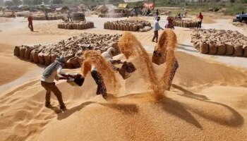 Wheat Price: ಹೆಚ್ಚುತ್ತಿರುವ ಹಣದುಬ್ಬರದ ನಡುವೆ ಅಗ್ಗವಾಗಲಿದೆ ಗೋಧಿ, ಸರ್ಕಾರದ ಮಹತ್ವದ ನಿರ್ಧಾರ ಇಲ್ಲಿದೆ