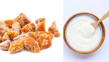 Jaggery And Curd: ಹೊಸ ವರ್ಷದಲ್ಲಿ ಬೆಲ್ಲ-ಮೊಸರನ್ನು ಜಂಟಿಯಾಗಿ ನಿಮ್ಮ ಆಹಾರದಲ್ಲಿ ಶಾಮೀಲುಗೊಳಿಸಿ, ಕಾರಣ ಇಲ್ಲಿದೆ