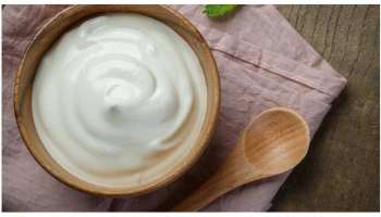 Curd Benefits : ಪ್ರತಿದಿನ ಹೀಗೆ ಮೊಸರು ಸೇವಿಸಿ, ಈ ಆರೋಗ್ಯ ಪ್ರಯೋಜನ ಪಡೆಯಿರಿ!