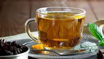 Herbal Tea Benefits: ಚಳಿಗಾಲದಲ್ಲಿ ನಿಮ್ಮನ್ನು ಈ ಸಮಸ್ಯೆಗಳಿಂದ ದೂರವಿರಿಸುತ್ತೆ ಹರ್ಬಲ್ ಟೀ 