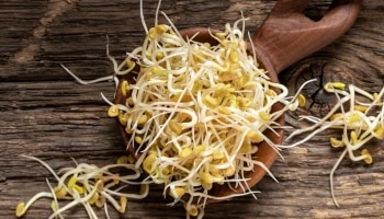 Health Care Tips: ಈ ಮೊಳಕೆ ಕಾಳು ಸೇವನೆಯಿಂದ ಆರೋಗ್ಯಕ್ಕೆ ಹಲವು ಲಾಭಗಳಾಗುತ್ತವೆ