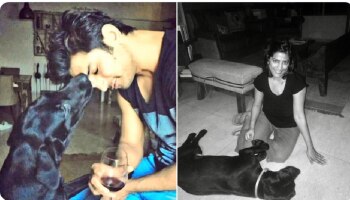 Sushant Singh Rajput: ಸುಶಾಂತ್ ಸಾವಿನ 3 ವರ್ಷಗಳ ಬಳಿಕ ನೆಚ್ಚಿನ ನಾಯಿ ಫಡ್ಜ್ ಸಾವು