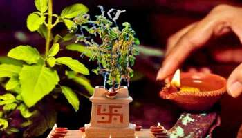 ತುಳಸಿಗೆ ದೀಪ ಹಚ್ಚುವಾಗ ಈ ಸಣ್ಣ ಕೆಲಸ ಮಾಡಿ ಕೋಟ್ಯಾಧಿಪತಿಯಾಗುತ್ತೀರಿ!