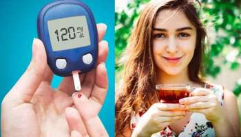 Diabetes: ರಕ್ತದಲ್ಲಿನ ಸಕ್ಕರೆ ಮಟ್ಟ ಕಂಟ್ರೋಲ್‌ನಲ್ಲಿಡುತ್ತೆ ಈ ವಿಶೇಷ ಚಹಾ 