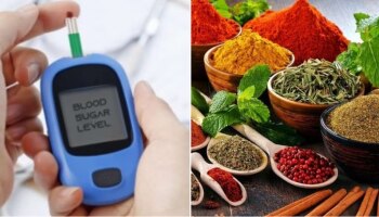 Diabetes Control Spices : ಮಧುಮೇಹ ನಿಯಂತ್ರಿಸಲು ತಪ್ಪದೆ ಸೇವಿಸಿ ಈ ಮಸಾಲೆ ಪದಾರ್ಥಗಳನ್ನು!