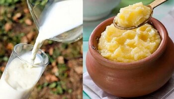 Milk and Ghee Benefits : ಹಾಲಿನಲ್ಲಿ ತುಪ್ಪ ಬೆರೆಸಿ ಕುಡಿಯುವುದರಿಂದ ಆರೋಗ್ಯಕ್ಕಿದೆ ಈ ಅದ್ಭುತ ಪ್ರಯೋಜನಗಳು 