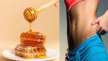 Weight Loss : ತೂಕ ಇಳಿಸಲು ಇದರ ಜೊತೆ ಜೇನುತುಪ್ಪ ಸೇವಿಸಿ.! ಕೆಲವೇ ದಿನಗಳಲ್ಲಿ ರಿಸಲ್ಟ್‌ ನೀಡುತ್ತೆ