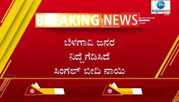 dog attack and bite people in belagavi city