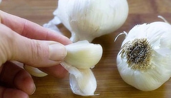 Garlic Side Effects : ಬೆಳ್ಳುಳ್ಳಿ ಆರೋಗ್ಯಕ್ಕೆ ಎಷ್ಟು ಉಪಯುಕ್ತ, ಅಷ್ಟೇ ಅಪಾಯ! ಹೇಗೆ ಇಲ್ಲಿದೆ ನೋಡಿ