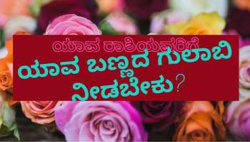 ವ್ಯಾಲೆಂಟೈನ್ಸ್ ಡೇ- ರೋಸ್ ಡೇಯಂದು ರಾಶಿಗನುಗುಣವಾಗಿ ನಿಮ್ಮ ಪ್ರೇಮಿಗೆ ಯಾವ ಬಣ್ಣದ ರೋಸ್ ನೀಡಬೇಕು 