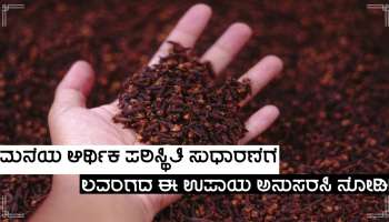 Astro Tips: ಲವಂಗದ ಈ ಉಪಾಯಗಳು ನಿಮ್ಮ ಭಾಗ್ಯ ಬದಲಾಯಿಸಿ, ಅಪಾರ ಧನವೃಷ್ಠಿಯನ್ನು ತರುತ್ತವೆ!