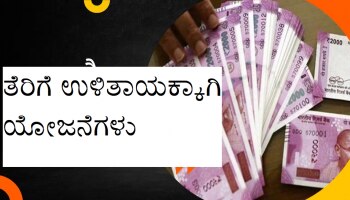 Tax Saving Schemes: ಈ ಅದ್ಭುತ ಯೋಜನೆಗಳಲ್ಲಿ ಹೂಡಿಕೆ ಮಾಡಿ ಲಾಭದ ಜೊತೆಗೆ ತೆರಿಗೆ ಉಳಿಸಿ