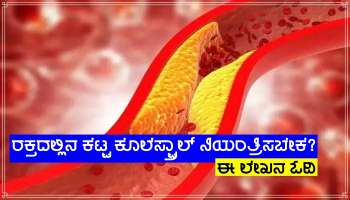 Bad Cholesterol: ಕೇವಲ 2 ರೂ.ಗಳಲ್ಲಿ ರಕ್ತದಿಂದ  ಕೆಟ್ಟ ಕೊಲೆಸ್ಟ್ರಾಲ್ ಹೊರಹಾಕಿ! ಹೊಸ ಉಪಾಯ ಕಂಡುಹಿಡಿದ ಹಾರ್ವರ್ಡ್