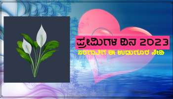 Valentine&#039;s Day 2023: ಈ ಬಾರಿಯ ಪ್ರೇಮಿಗಳ ದಿನದಂದು ನಿಮ್ಮ ಸಂಗಾತಿಗೆ ನೀಡಿ ಈ ವಿಶಿಷ್ಟ ಉಡುಗೊರೆ