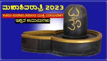 Mahashivratri: ಶನಿಯ ಸಾಡೇಸಾತಿ ಹಾಗೂ ಎರಡೂವರೆ ವರ್ಷಗಳ ಕಾಟದಿಂದ ಮುಕ್ತಿಪಡೆಯಲು ಈ ಉಪಾಯ ಮಾಡಿ!