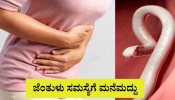 ಜೆಂತು ಹುಳು ಸಮಸ್ಯೆಗೆ ನಿಮ್ಮ ಅಡುಗೆ ಮನೆಯಲ್ಲಿಯೇ ಇದೆ ಪರಿಹಾರ 