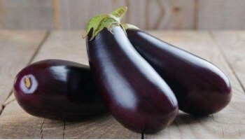 Brinjal Benefits : ಬದನೆಕಾಯಿಯಲ್ಲಿ ಅಡಗಿದೆ ನಿಮ್ಮ ಆರೋಗ್ಯದ ಗುಟ್ಟು!  