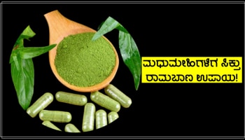 Diabetes ರೋಗಿಗಳಿಗೆ ಅಮೃತಕ್ಕೆ ಸಮಾನ ಈ ಕಹಿ ಪದಾರ್ಥ, ಹಲವು ಅಪಾಯಕಾರಿ ಕಾಯಿಲೆಗಳನ್ನು ಬುಡಸಮೇತ ಕಿತ್ತೆಸೇಯುತ್ತೆ!