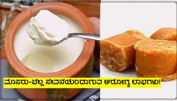 Health Tips: ಮೊಸರು ಬೆಲ್ಲ ಸೇವನೆಯಿಂದಾಗುವ ಈ ಆರೋಗ್ಯ ಲಾಭಗಳು ನಿಮಗೆ ತಿಳಿದಿವೆಯೇ?