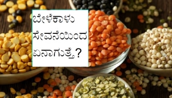 Nutritionist Advice: ಹೆಚ್ಚು ಬೇಳೆಕಾಳು ಸೇವನೆಯಿಂದ ಏನಾಗುತ್ತೆ ಗೊತ್ತಾ..?  