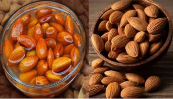 Soaked Almonds Benefits: ನೆನಸಿದ ಬಾದಾಮಿ ಸೇವಿಸುವುದರ ಅದ್ಭುತ ಪ್ರಯೋಜನಗಳು