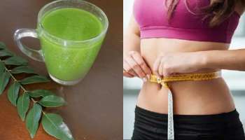 Weight Loss Tips : ವಾರದೊಳಗೆ ನಿಮ್ಮ ತೂಕ ಇಳಿಸುತ್ತೆ ಈ ಹಸಿರು ಎಲೆಯ ರಸ 