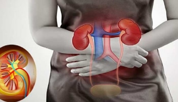 Kidney Health : ನಿಮ್ಮ ಕಿಡ್ನಿ ಆರೋಗ್ಯವಾಗಿರಲು ತಪ್ಪದೆ ಅನುಸರಿಸಿ ಈ ಸಲಹೆಗಳನ್ನು!